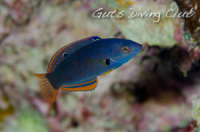 ���i�e���x��yg